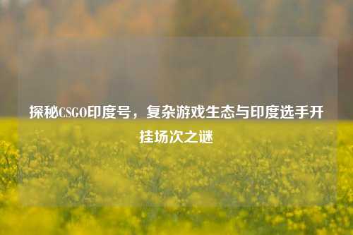 探秘CSGO印度号,复杂游戏生态与印度选手开挂场次之谜