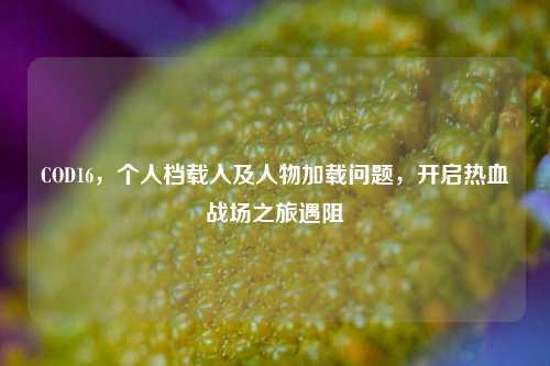 COD16，个人档载入及人物加载问题，开启热血战场之旅遇阻
