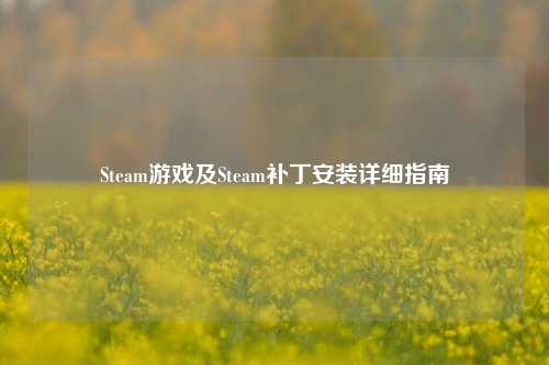 Steam游戏及Steam补丁安装详细指南