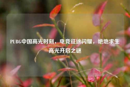 PUBG中国高光时刻，电竞征途闪耀，绝地求生高光开启之谜