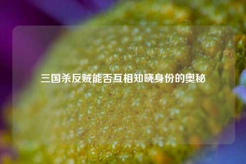三国杀反贼能否互相知晓身份的奥秘
