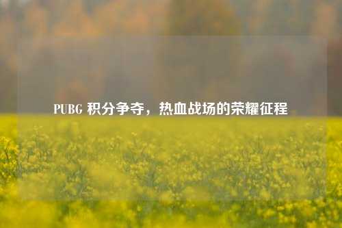 PUBG 积分争夺,热血战场的荣耀征程