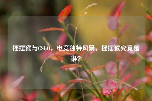 摇摆猴与CSGO，电竞独特风景，摇摆猴究竟是谁？