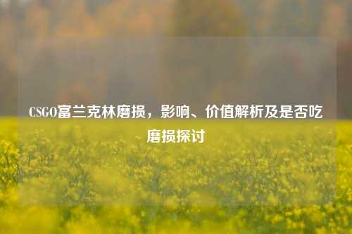 CSGO富兰克林磨损,影响、价值解析及是否吃磨损探讨