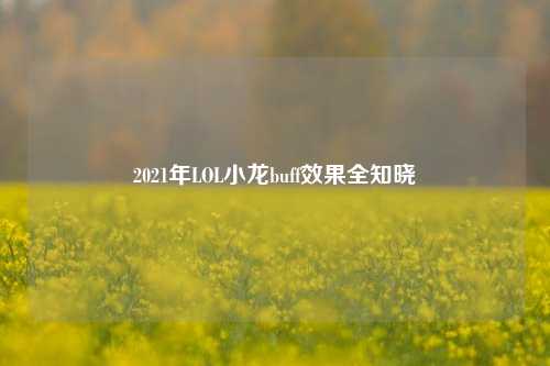 2021年LOL小龙buff效果全知晓