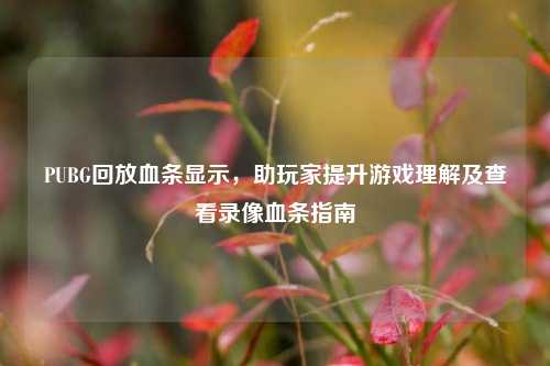 PUBG回放血条显示,助玩家提升游戏理解及查看录像血条指南
