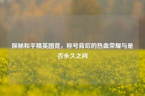 探秘和平精英团竞,称号背后的热血荣耀与是否永久之问