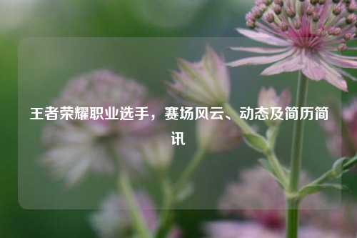 王者荣耀职业选手,赛场风云、动态及简历简讯
