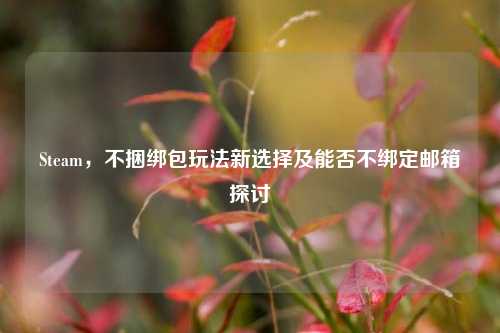 Steam,不捆绑包玩法新选择及能否不绑定邮箱探讨