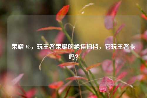 荣耀 V8，玩王者荣耀的绝佳拍档，它玩王者卡吗？