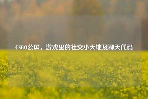CSGO公屏,游戏里的社交小天地及聊天代码