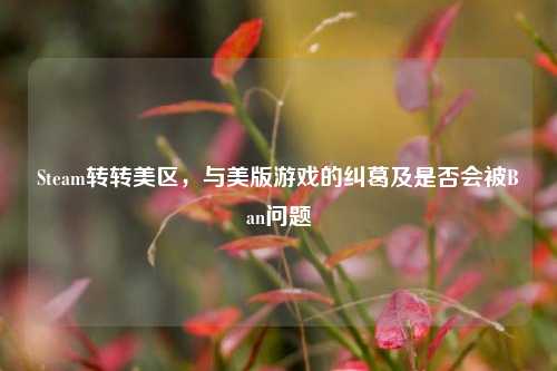 Steam转转美区,与美版游戏的纠葛及是否会被Ban问题