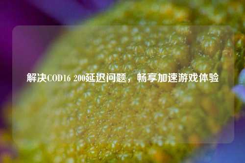解决COD16 200延迟问题,畅享加速游戏体验