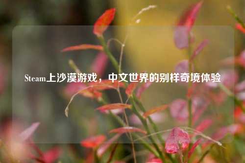 Steam上沙漠游戏,中文世界的别样奇境体验