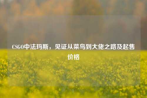 CSGO中法玛斯,见证从菜鸟到大佬之路及起售价格