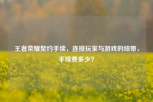 王者荣耀契约手续,连接玩家与游戏的纽带,手续费多少?