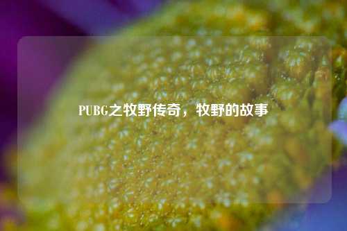 PUBG之牧野传奇,牧野的故事