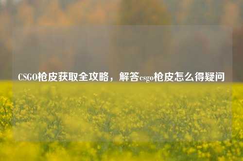 CSGO枪皮获取全攻略，解答csgo枪皮怎么得疑问