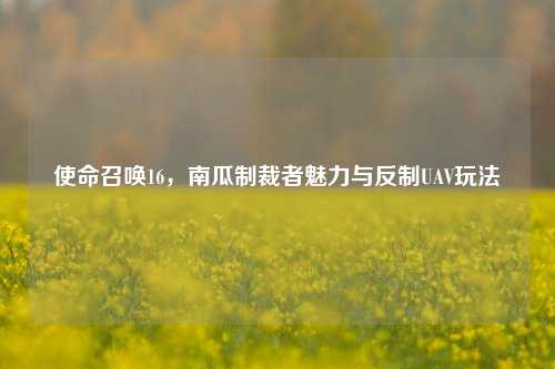 使命召唤16,南瓜制裁者魅力与反制UAV玩法