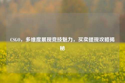 CSGO,多维度展现竞技魅力,买卖提现攻略揭秘