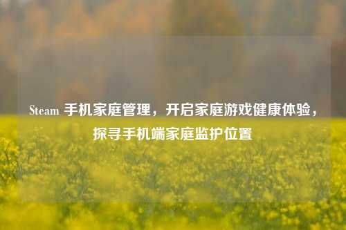 Steam 手机家庭管理,开启家庭游戏健康体验,探寻手机端家庭监护位置