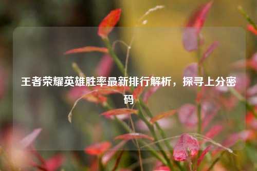 王者荣耀英雄胜率最新排行解析,探寻上分密码