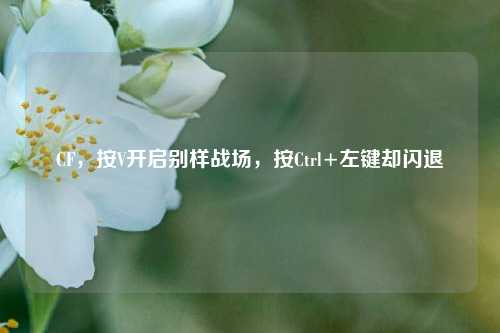 CF，按V开启别样战场，按Ctrl+左键却闪退