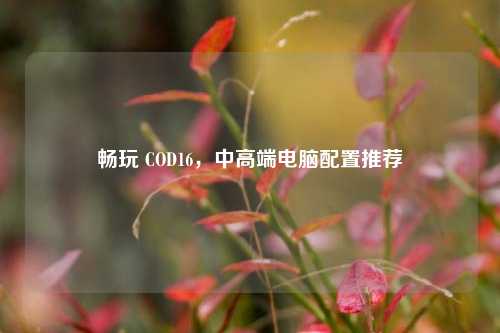 畅玩 COD16,中高端电脑配置推荐