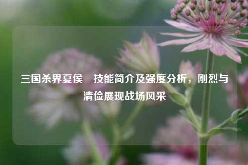 三国杀界夏侯惇技能简介及强度分析,刚烈与清俭展现战场风采