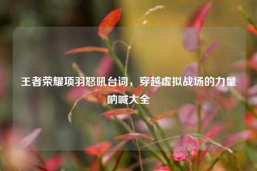 王者荣耀项羽怒吼台词,穿越虚拟战场的力量呐喊大全