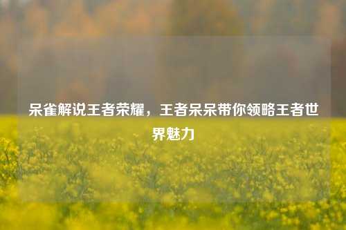 呆雀解说王者荣耀，王者呆呆带你领略王者世界魅力