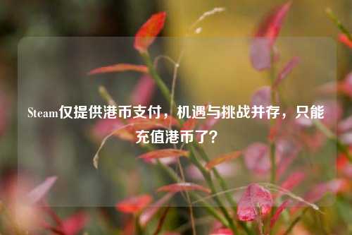 Steam仅提供港币支付,机遇与挑战并存,只能充值港币了?