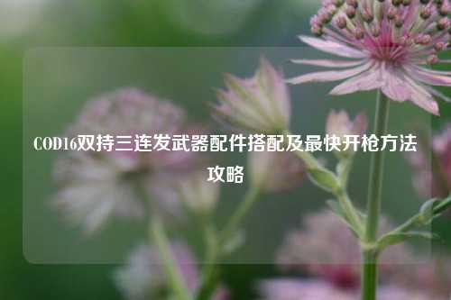 COD16双持三连发武器配件搭配及最快开枪 *** 攻略