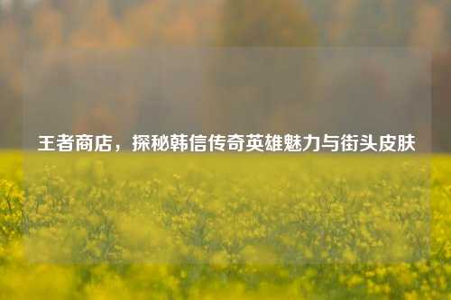 王者商店,探秘韩信传奇英雄魅力与街头皮肤