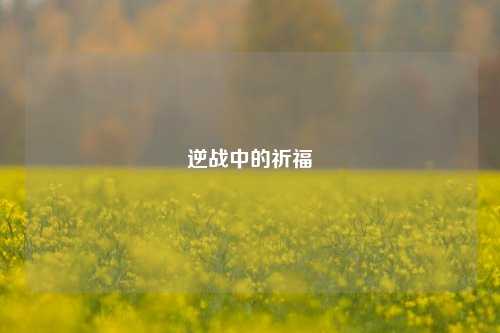 逆战中的祈福