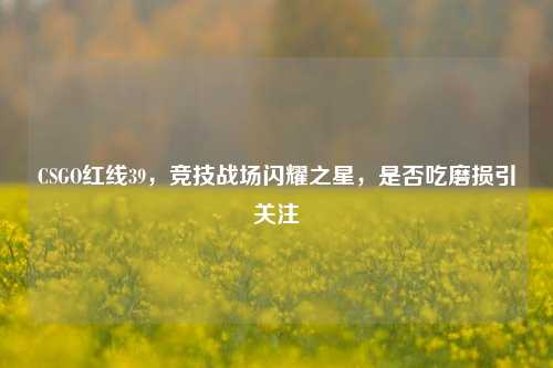 CSGO红线39,竞技战场闪耀之星,是否吃磨损引关注