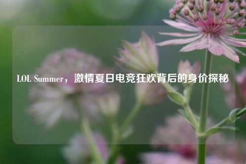 LOL Summer,***夏日电竞狂欢背后的身价探秘