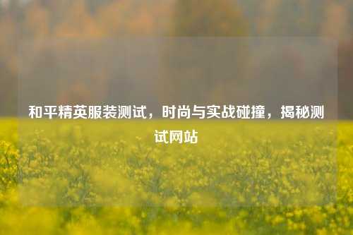 和平精英服装测试,时尚与实战碰撞,揭秘测试网站
