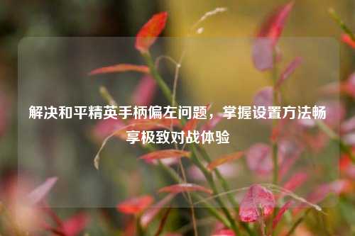 解决和平精英手柄偏左问题，掌握设置 *** 畅享极致对战体验