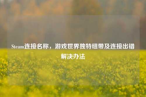 Steam连接名称,游戏世界独特纽带及连接出错解决办法