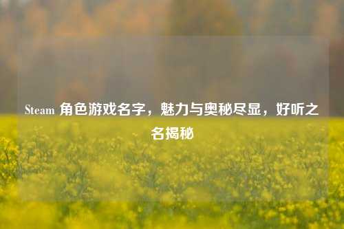 Steam 角色游戏名字,魅力与奥秘尽显,好听之名揭秘