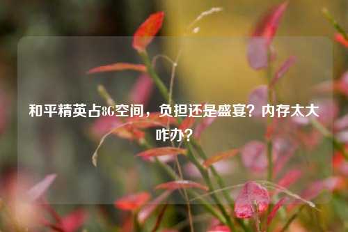 和平精英占8G空间,负担还是盛宴?内存太大咋办?