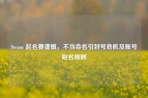 Steam 起名要谨慎,不当命名引封号危机及账号取名规则