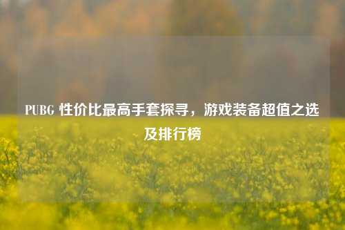 PUBG 性价比更高手套探寻,游戏装备超值之选及排行榜