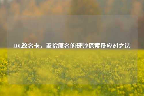 LOL改名卡,重拾原名的奇妙探索及应对之法