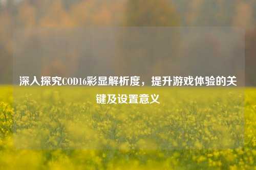 深入探究COD16彩显解析度，提升游戏体验的关键及设置意义