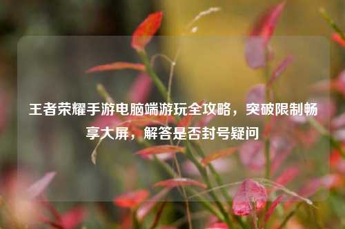 王者荣耀手游电脑端游玩全攻略，突破限制畅享大屏，解答是否封号疑问