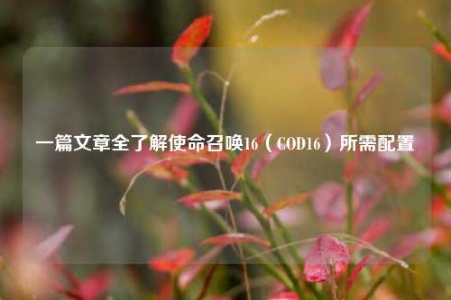 一篇文章全了解使命召唤16(COD16)所需配置