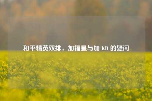 和平精英双排,加福星与加 KD 的疑问