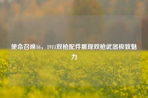 使命召唤16,1911双枪配件展现双枪武器极致魅力